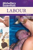 Midwifery Essentials: Labour E-Book (eBook, ePUB)