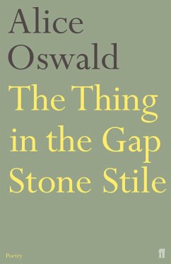 The Thing in the Gap Stone Stile (eBook, ePUB) - Oswald, Alice