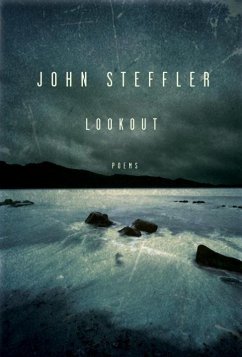 Cover Lookout (eBook, ePUB)