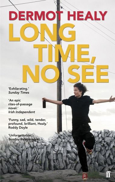 Long Time, No See (eBook, ePUB)
