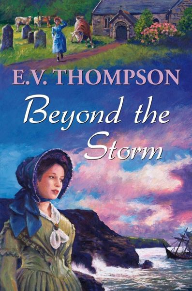 Beyond the Storm (eBook, ePUB)