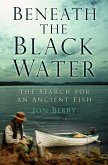 Beneath the Black Water (eBook, ePUB)