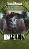 Downshadow (eBook, ePUB)