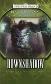 Downshadow (eBook, ePUB) Downshadow (eBook, ePUB)