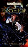 Hand of Fire (eBook, ePUB)