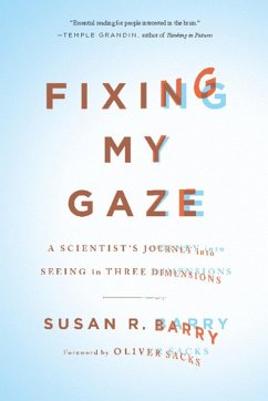 Fixing My Gaze (eBook, ePUB) - Barry, Susan R.