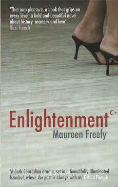 Enlightenment (eBook, ePUB) - Freely, Maureen