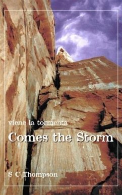 Cover Comes the Storm (eBook, ePUB)