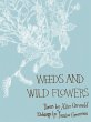 Weeds and Wild Flowers (eBook, ePUB) - Bild 1