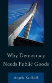 Why Democracy Needs Public Goods (eBook, ePUB)