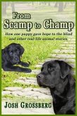From Scamp to Champ (eBook, ePUB)