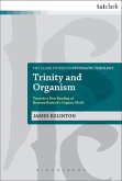 Trinity and Organism (eBook, PDF)