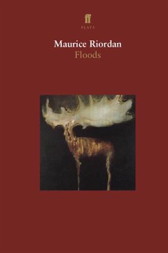 Floods (eBook, ePUB) - Riordan, Maurice