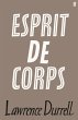 Esprit de Corps (eBook, ePUB) - Bild 1