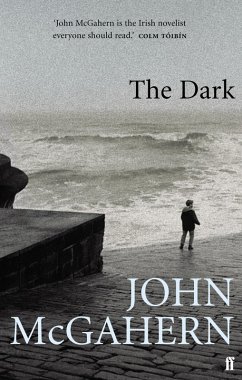 Cover The Dark (eBook, ePUB)