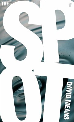 The Spot (eBook, ePUB) - Means, David