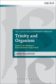Trinity and Organism (eBook, ePUB)