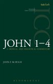 John 1-4 (ICC) (eBook, PDF)