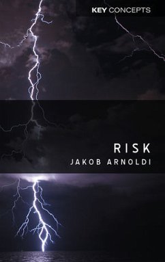 Risk (eBook, PDF) - Arnoldi, Jakob