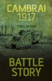 Battle Story: Cambrai 1917 (eBook, ePUB)