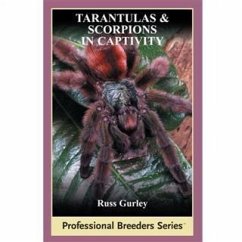 Tarantulas and Scorpions in Captivity (eBook, ePUB) - Gurley, Russ
