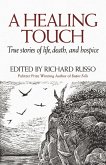 A Healing Touch (eBook, ePUB)