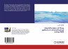 Identification of flow pattern in... - Bild 1