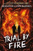 Trial by Fire (eBook, ePUB) Trial by Fire (eBook, ePUB)