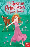 The Rescue Princesses: The Secret Promise (eBook, ePUB)