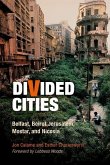 Divided Cities (eBook, ePUB)