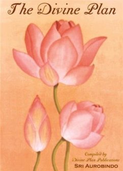 Cover Divine Plan (eBook, ePUB)