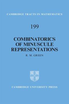 Combinatorics of Minuscule Representations (eBook, PDF) - Green, R. M.