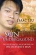 Son of the Underground (eBook, ePUB) - Bild 1