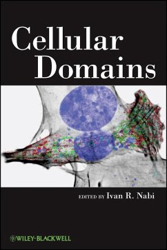 Cellular Domains (eBook, ePUB) - Nabi, Ivan R. Cellular Domains (eBook, ePUB) - Nabi, Ivan R.