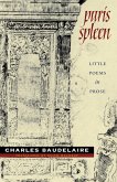 Paris Spleen (eBook, ePUB)