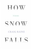 How Snow Falls (eBook, ePUB)