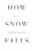 How Snow Falls (eBook, ePUB) How Snow Falls (eBook, ePUB)