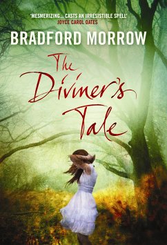 The Diviner's Tale (eBook, ePUB) - Morrow, Bradford