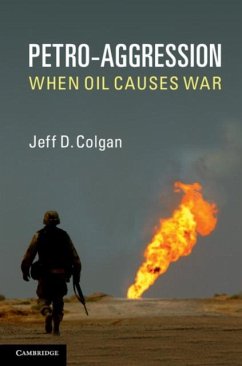 Petro-Aggression (eBook, PDF) - Colgan, Jeff D.