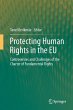 Protecting Human Rights in the EU - Bild 1