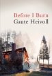 Before I Burn (eBook, ePUB) - Bild 1