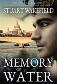 Memory of Water (eBook, ePUB) Memory of Water (eBook, ePUB)