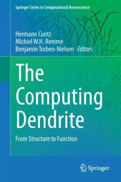 The Computing Dendrite