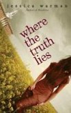 Where the Truth Lies (eBook, ePUB)