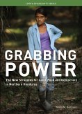 Grabbing Power (eBook, ePUB)