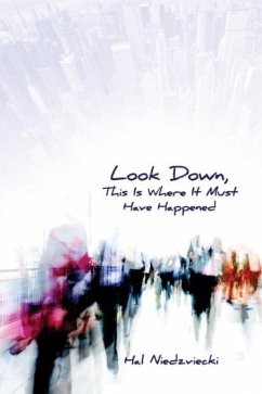 Look Down, This is Where It Must Have Happened (eBook, ePUB) - Niedzviecki, Hal