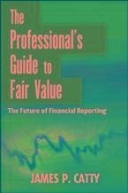 The Professional's Guide to Fair Value (eBook, PDF) - Catty, James P.