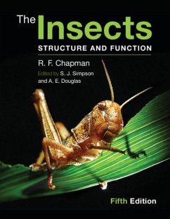 Insects (eBook, PDF) - Chapman, R. F.