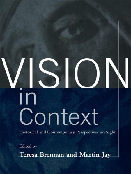 Vision in Context (eBook, PDF)