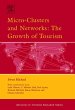 Micro-Clusters and Networks (eBook,... - Bild 1